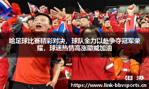 bbv体育官网