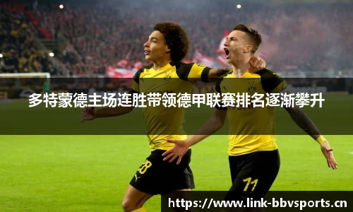 bbv体育官网