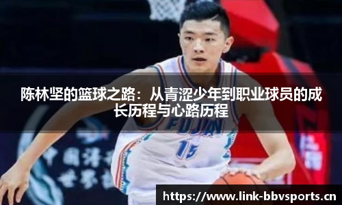 bbv体育官方网站