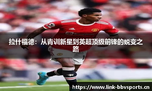 bbv体育官方网站