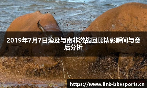 2019年7月7日埃及与南非激战回顾精彩瞬间与赛后分析