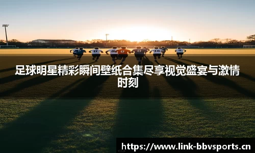 bbv体育